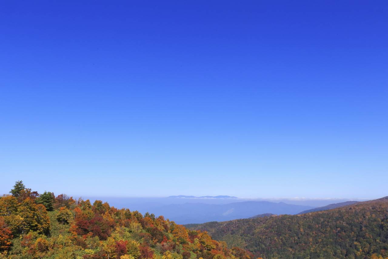 天元台からの眺めは最高