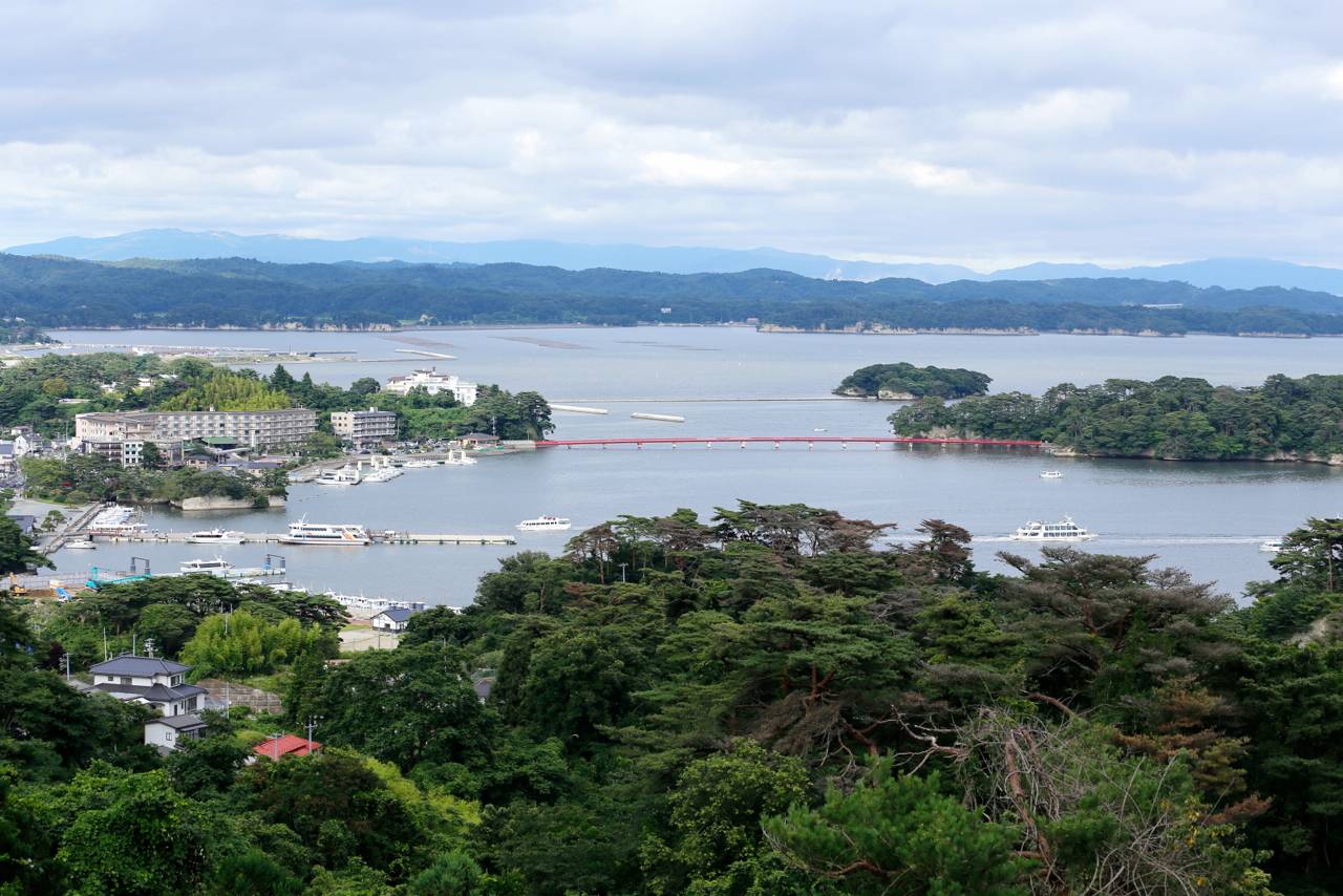 松島の夏風景（西行戻しの松公園）