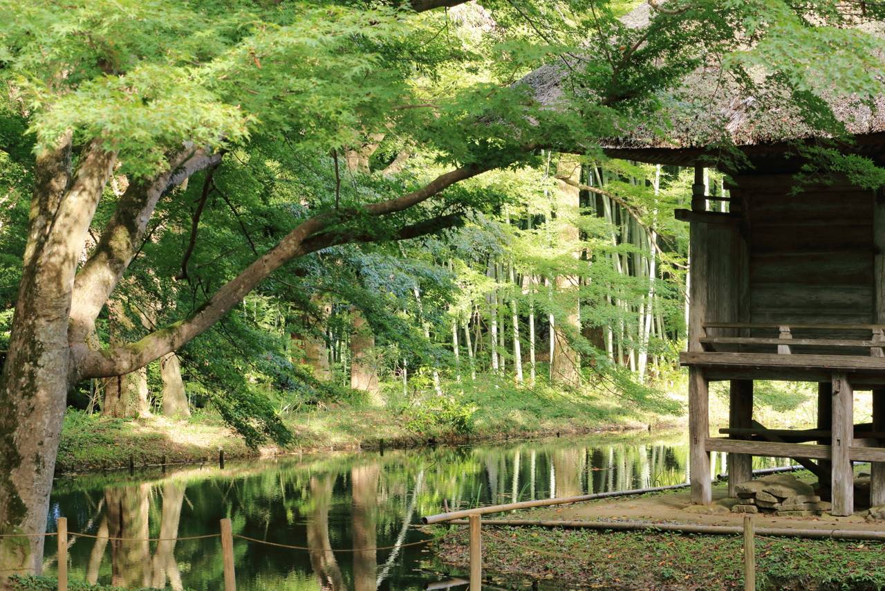 中尊寺の紅葉撮りに行ったけど、、、