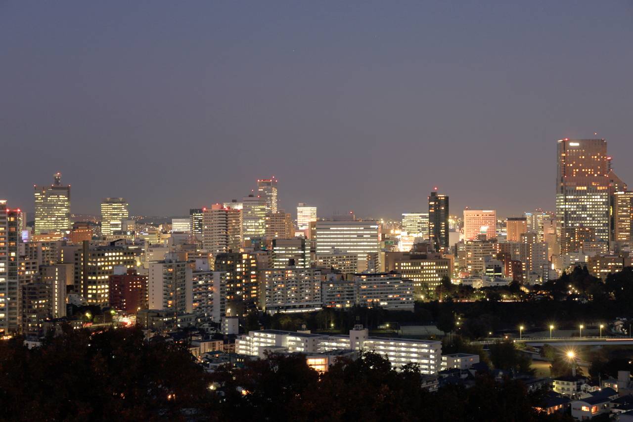 仙台城趾からの夜景