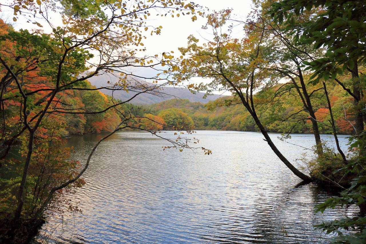 長老湖の紅葉