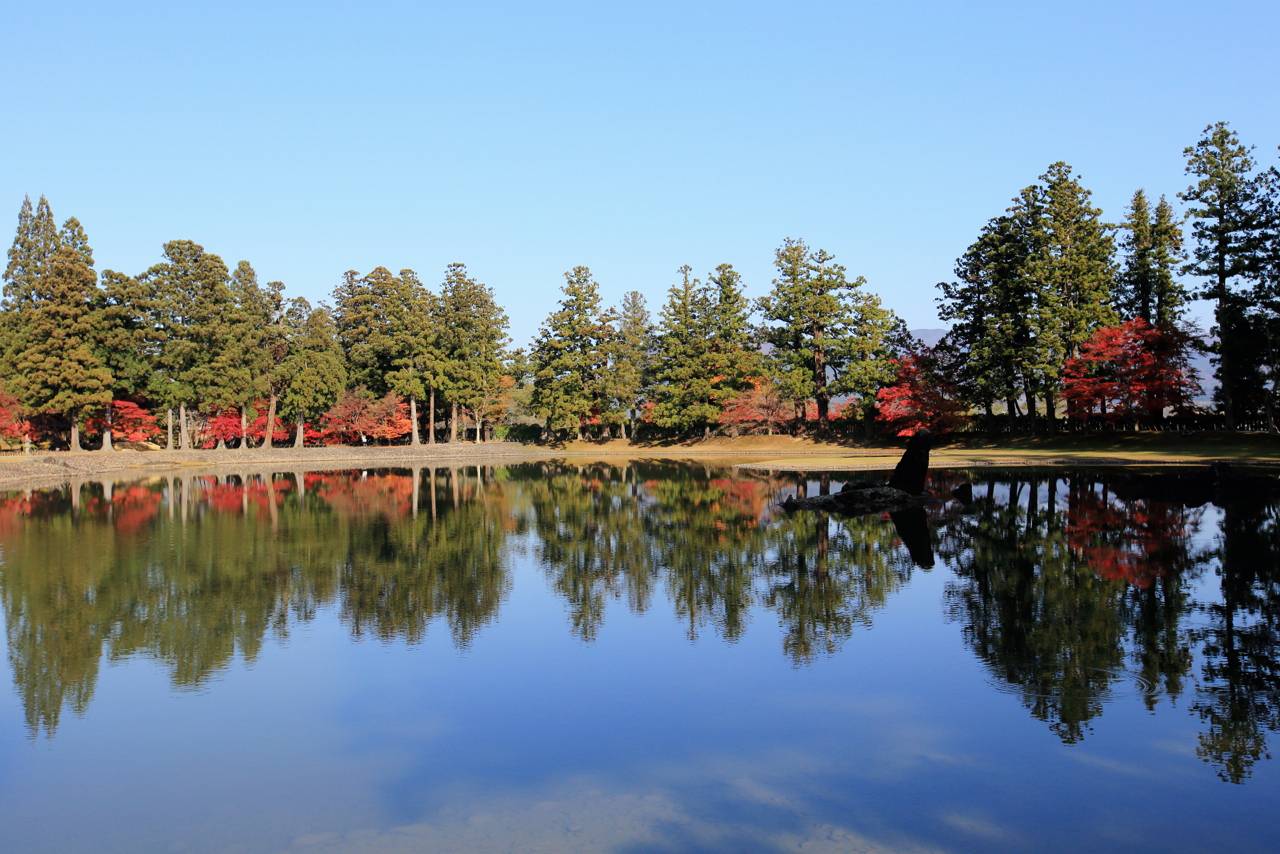 毛越寺の紅葉