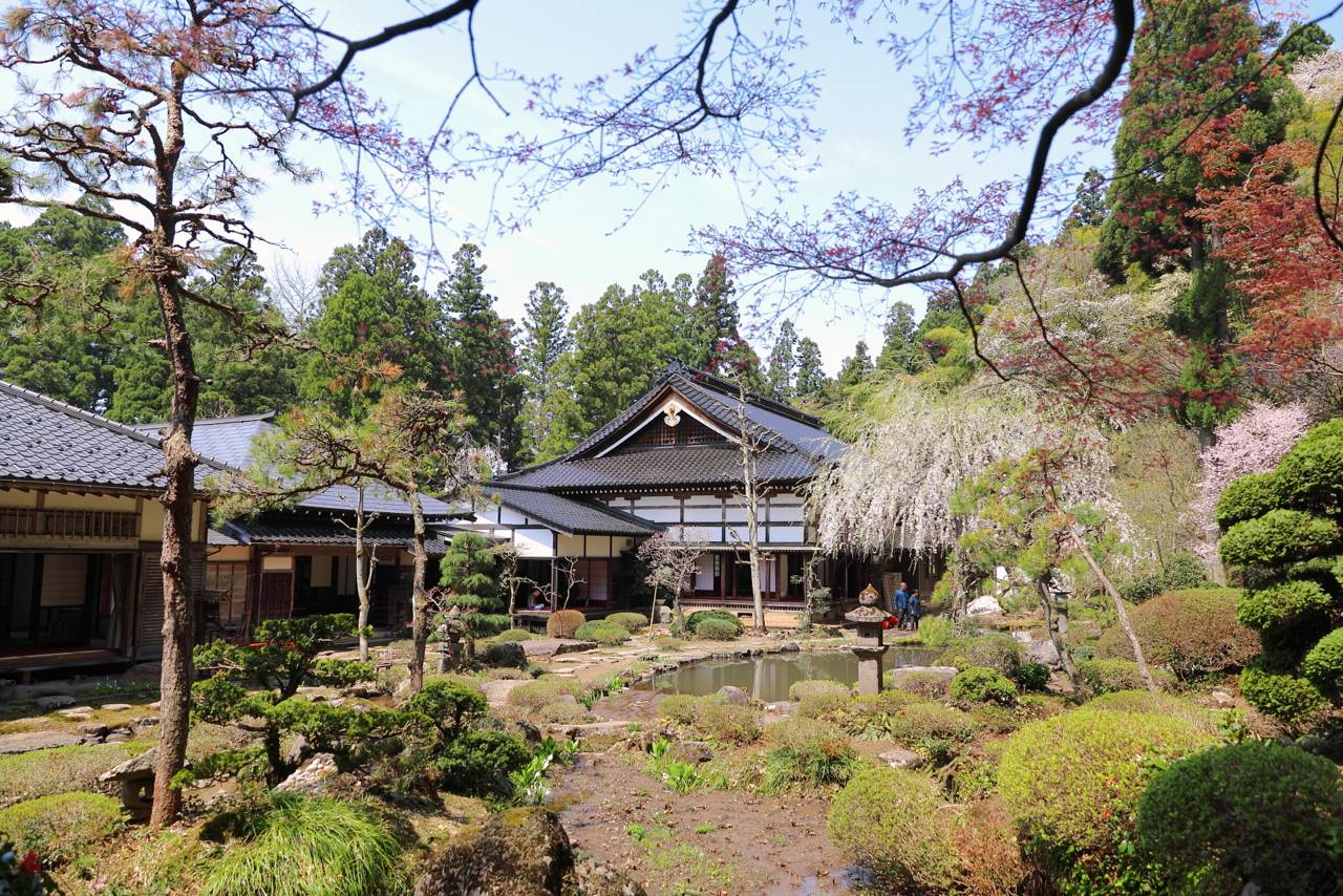 玉川寺の桜