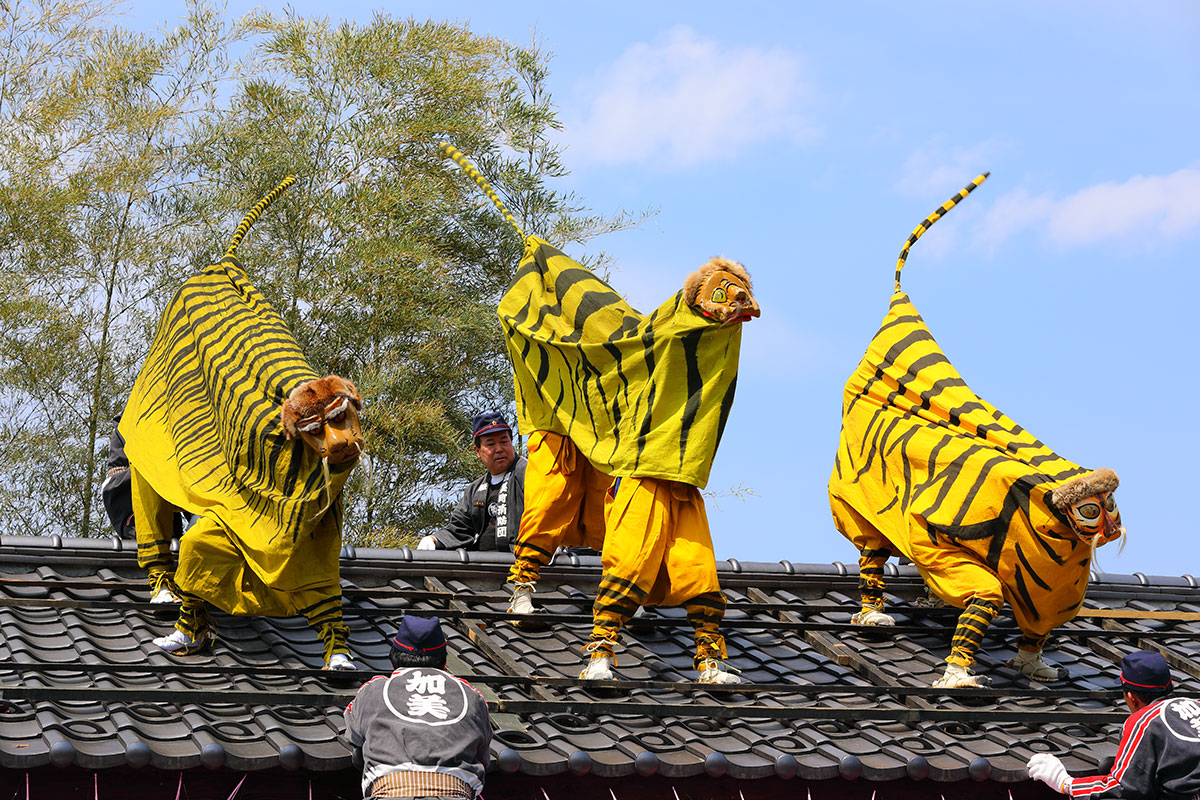 宮城県加美町 火伏の虎舞