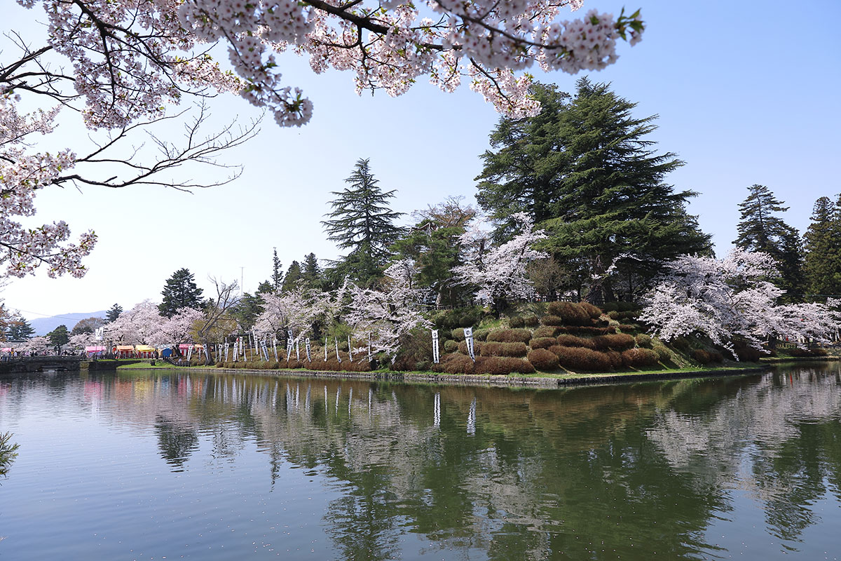 山形県米沢市 米沢城址の桜